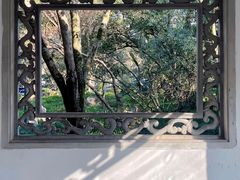 -杭州植物园