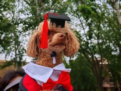 -南开大学(八里台校区)