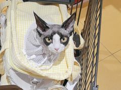 -MARSMART PETS火星宠物超市(1733店)
