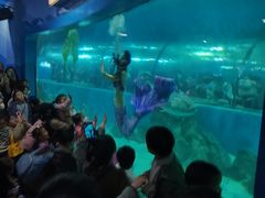 -苏州海洋馆