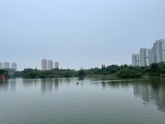 -五缘湾湿地公园