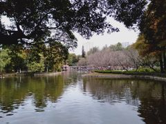 -晓港公园