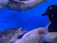 -石家庄极地海洋世界