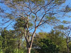 -风云岭森林公园