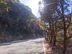 -宁海森林温泉