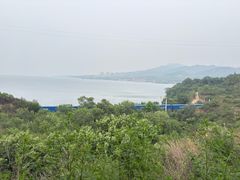 -小赖鱼馆