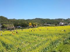 -红山村