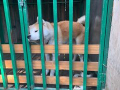 -太极禅苑