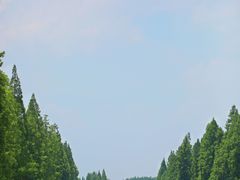 -黄海国家森林公园