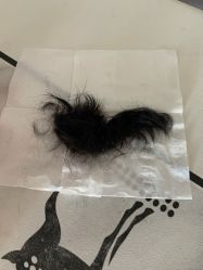 -慧婴轩婴儿理胎发胎毛笔胎毛画手足印(通州店)