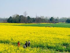 -桤木河湿地公园