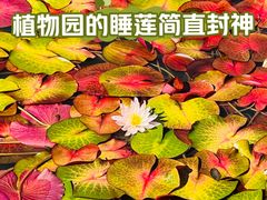 -国家植物园南园