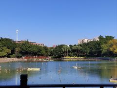 -东湖公园