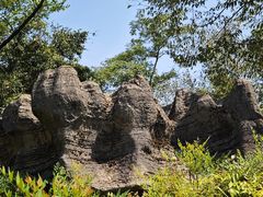 -梭布垭石林景区