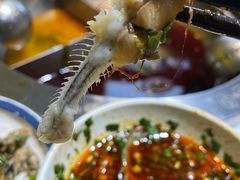 -吃城都·鱼蛙火锅(西玉龙街店)