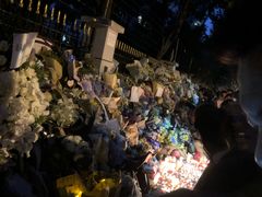 -上海市世外小学