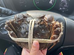 -阳澄湖大闸蟹·琼灵阁牌品牌连锁(吴中总店)