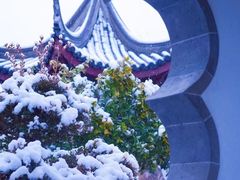 -苏州冶园园林民宿(太湖西山风景区店)