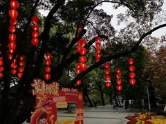 -荔湾湖公园