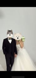 -北遇映画PHOTO GRAPHY STUDIO