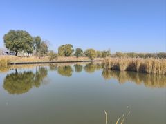 -野鸭湖国家湿地公园