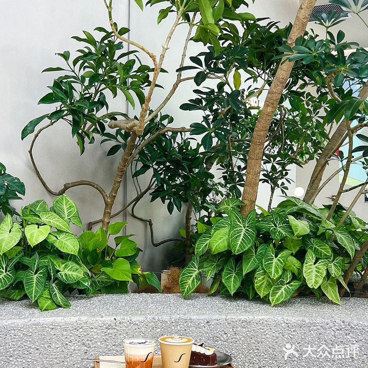 苏州｜“尚多拉咖啡”全国首店