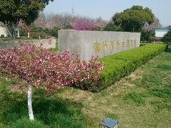 android_upload_pic-汉景帝阳陵博物院