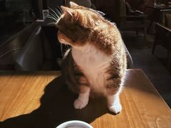 -咖法森林·咖啡  酒吧(天河店)