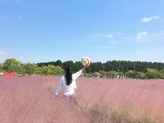 -嘉北郊野公园