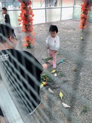 -萌宠亲子动物乐园(槐房万达店)