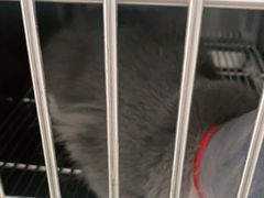 -宠福鑫康馨动物医院·骨科·眼科