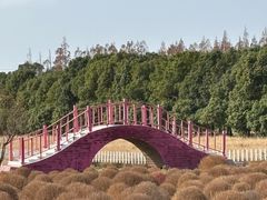 -嘉北郊野公园