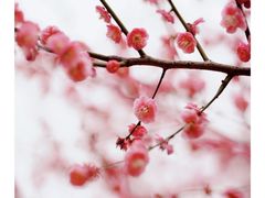 -重庆彩云湖湿地公园
