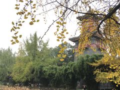 -四川大学(华西校区)