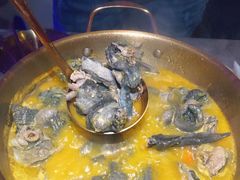 -Darling Queen·Mini·Live·House