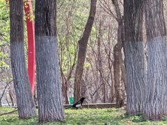 -黛秀湖公园