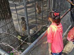 -祥源·阜阳生态乐园