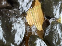 -生态苑农庄(十里画廊遇龙河店)