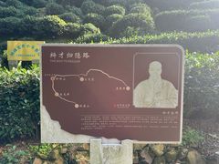 -龙井村