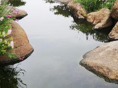 -罗红摄影艺术馆