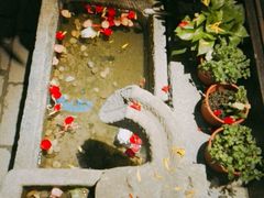 -万达影城(银兴菲林店)