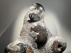 -中国地质博物馆