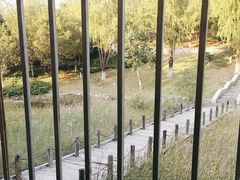 -青龙湖公园