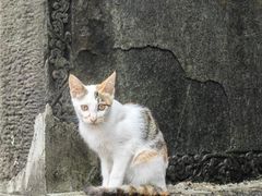 -禅宗三祖寺