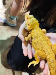 点击看大图 -酷嗒动物文化乐园(cutezoo西溪乐天城店)