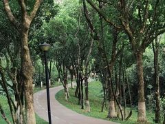 -燕晗山郊野公园