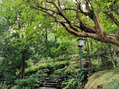 -南山植物园