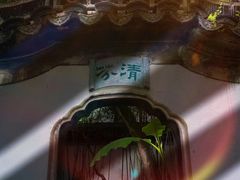 -秋霞圃