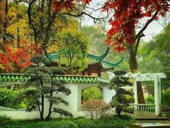 -中山公园
