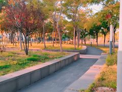 -上海海事大学(临港校区)